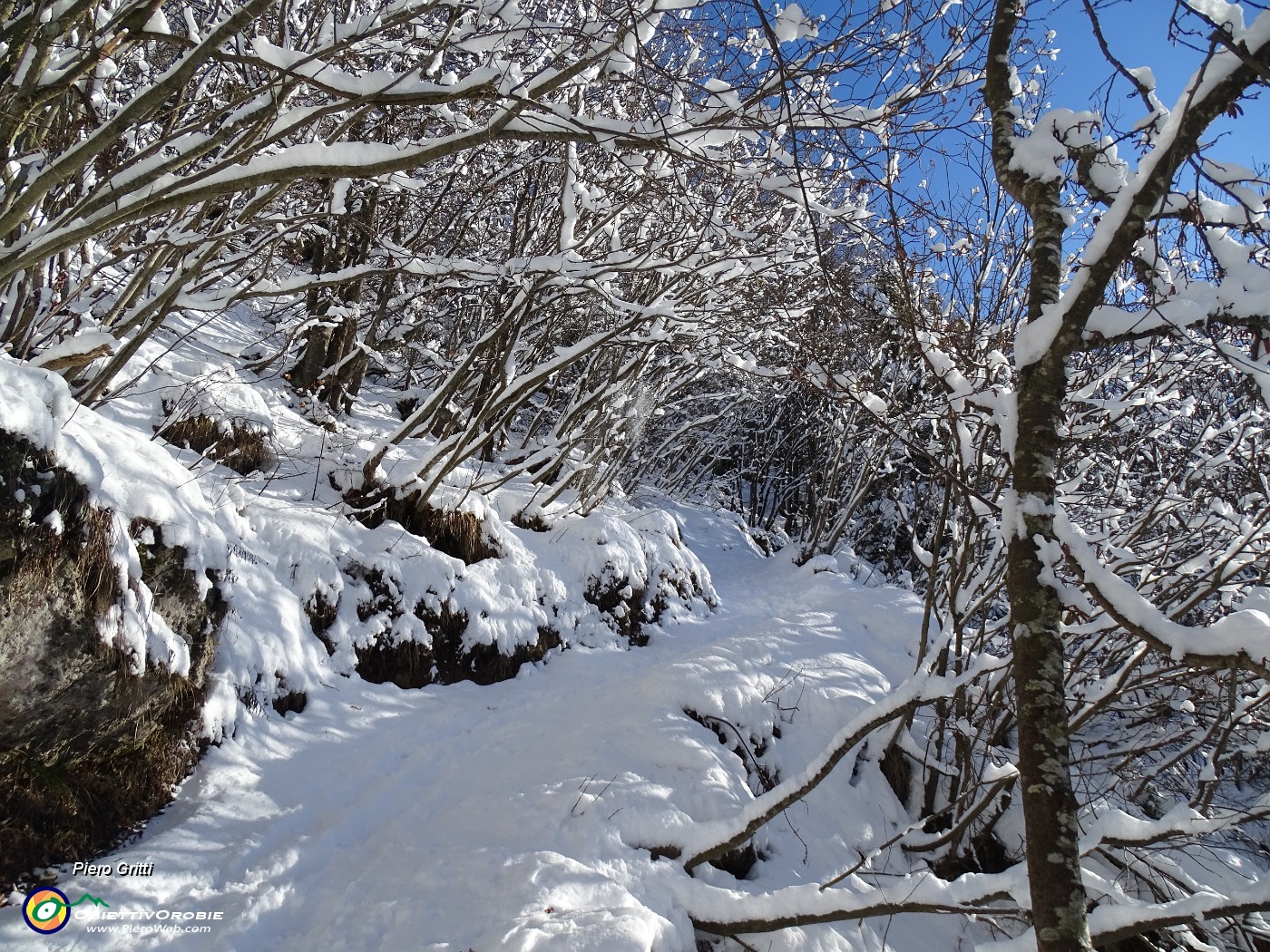 33 Il manto nevoso aumenta e ricopre di bianco il bosco.JPG